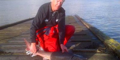 Thames Sturgeon 490.jpg